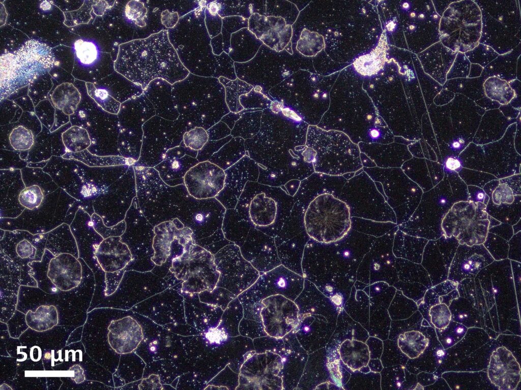 Cast Iron, Darkfield Contrast (DF) , EC Epiplan 20×/0.4